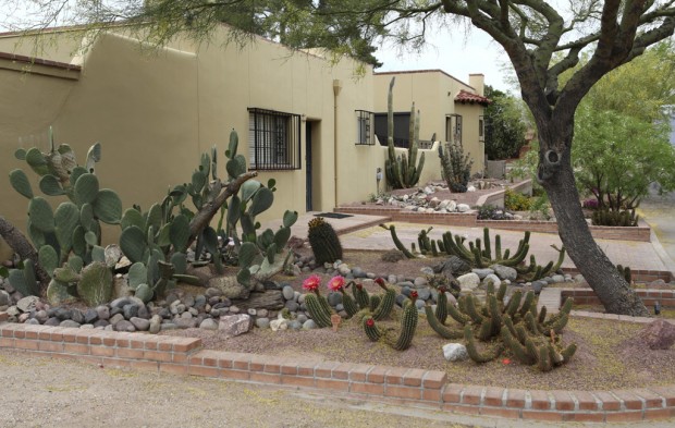 Xeriscape paradise